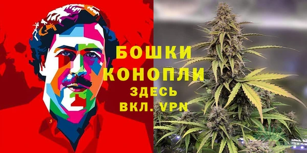 хмурый Белокуриха