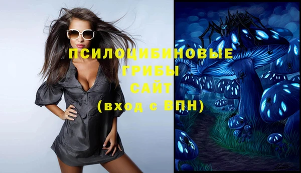 гашик Сосновка