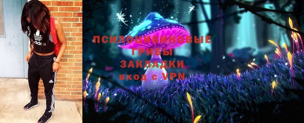 гашик Сосновка